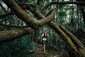 BIB: 
                            <button type="button" onclick="openModal(25664426)" class="btn btn-primary btn-sm float-right btn-popup" data-toggle="modal" data-target=".modal-high-quality">
                        <i class="fas fa-shopping-cart"></i> Add to Cart
                    </button>
                                            <button type="button" onclick="isThisMe(25664426, true)" class="btn btn-success btn-sm float-right btn-popup btn-isme hidden" data-toggle="tooltip" data-placement="bottom" title="นี่คือรูปของคุณใช่ไหม คลิกที่นี่เพื่อเอาเข้าอัลบั้ม">
                        <i class="fas fa-plus"></i> Add to album
                    </button>
                    <button type="button" onclick="isThisMe(25664426, false)" class="btn btn-warning btn-sm float-right btn-popup btn-isnotme hidden">
                        <i class="fas fa-ban"></i> Remove from album
                    </button>